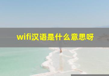 wifi汉语是什么意思呀