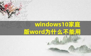 windows10家庭版word为什么不能用