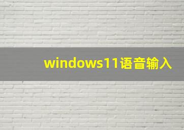 windows11语音输入