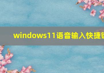 windows11语音输入快捷键