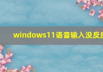 windows11语音输入没反应