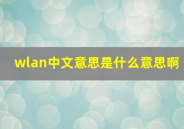 wlan中文意思是什么意思啊