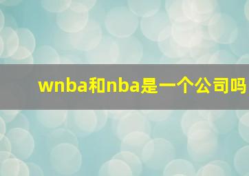 wnba和nba是一个公司吗