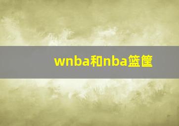 wnba和nba篮筐