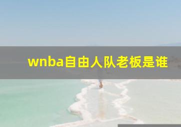 wnba自由人队老板是谁