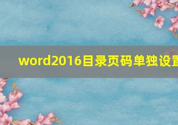 word2016目录页码单独设置