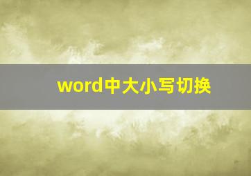 word中大小写切换