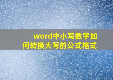 word中小写数字如何转换大写的公式格式