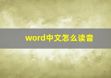 word中文怎么读音