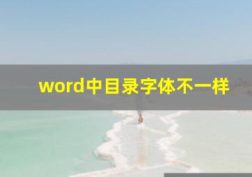 word中目录字体不一样