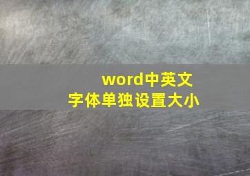 word中英文字体单独设置大小