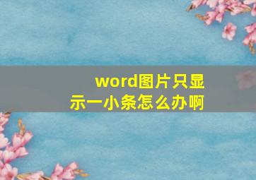 word图片只显示一小条怎么办啊