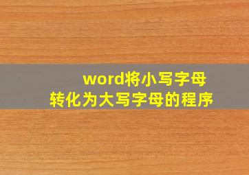 word将小写字母转化为大写字母的程序