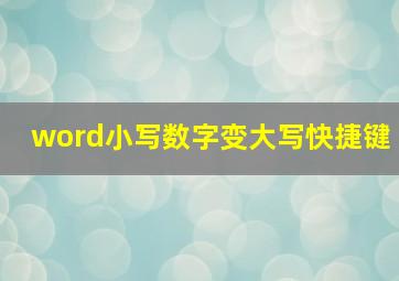 word小写数字变大写快捷键