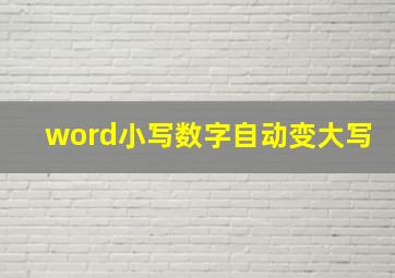 word小写数字自动变大写