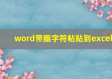 word带圈字符粘贴到excel