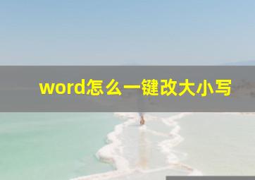 word怎么一键改大小写