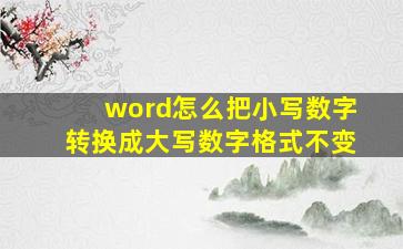 word怎么把小写数字转换成大写数字格式不变