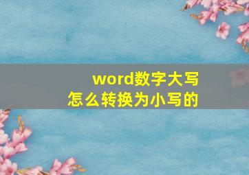 word数字大写怎么转换为小写的