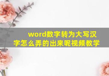 word数字转为大写汉字怎么弄的出来呢视频教学