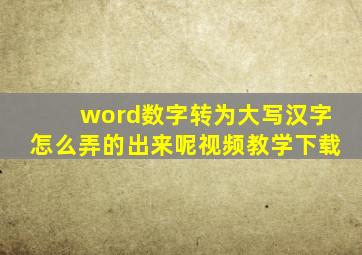 word数字转为大写汉字怎么弄的出来呢视频教学下载