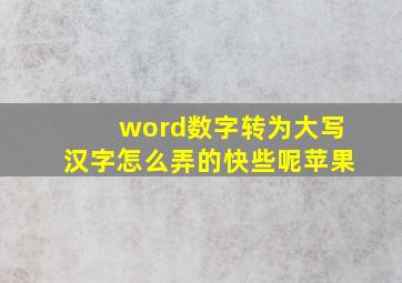 word数字转为大写汉字怎么弄的快些呢苹果