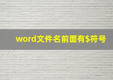 word文件名前面有$符号