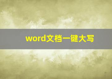 word文档一键大写