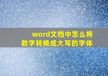 word文档中怎么将数字转换成大写的字体