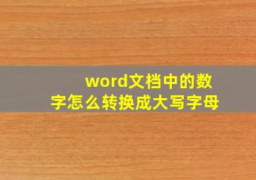 word文档中的数字怎么转换成大写字母