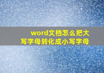 word文档怎么把大写字母转化成小写字母