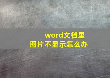 word文档里图片不显示怎么办