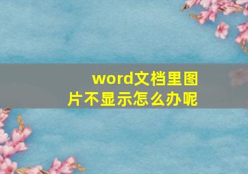 word文档里图片不显示怎么办呢