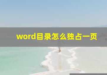 word目录怎么独占一页