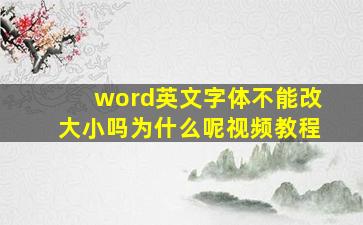 word英文字体不能改大小吗为什么呢视频教程