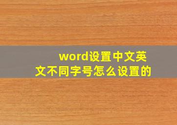 word设置中文英文不同字号怎么设置的