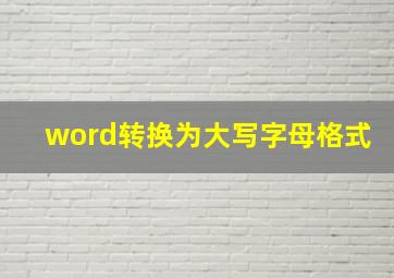 word转换为大写字母格式