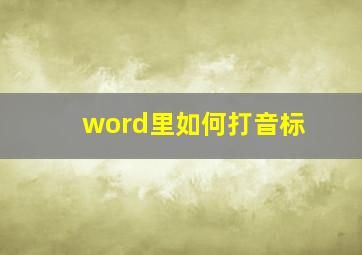 word里如何打音标