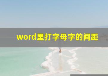 word里打字母字的间距