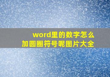 word里的数字怎么加圆圈符号呢图片大全