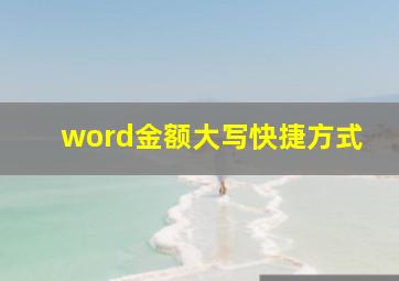 word金额大写快捷方式