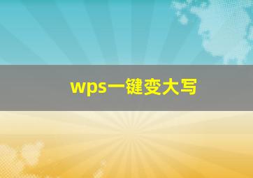 wps一键变大写