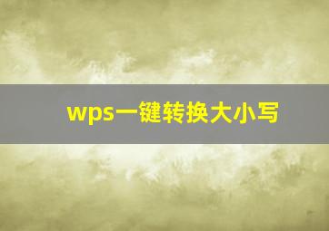 wps一键转换大小写