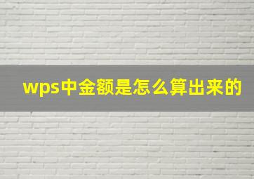 wps中金额是怎么算出来的