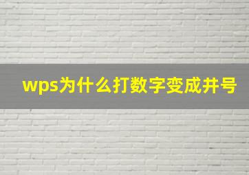 wps为什么打数字变成井号