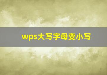 wps大写字母变小写