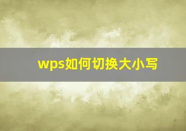 wps如何切换大小写