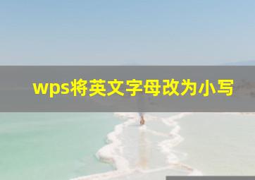 wps将英文字母改为小写