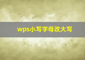 wps小写字母改大写