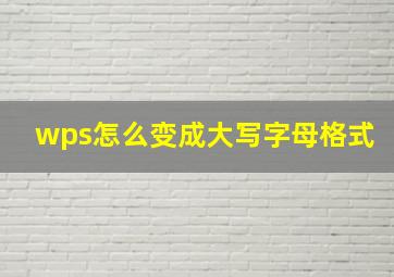 wps怎么变成大写字母格式